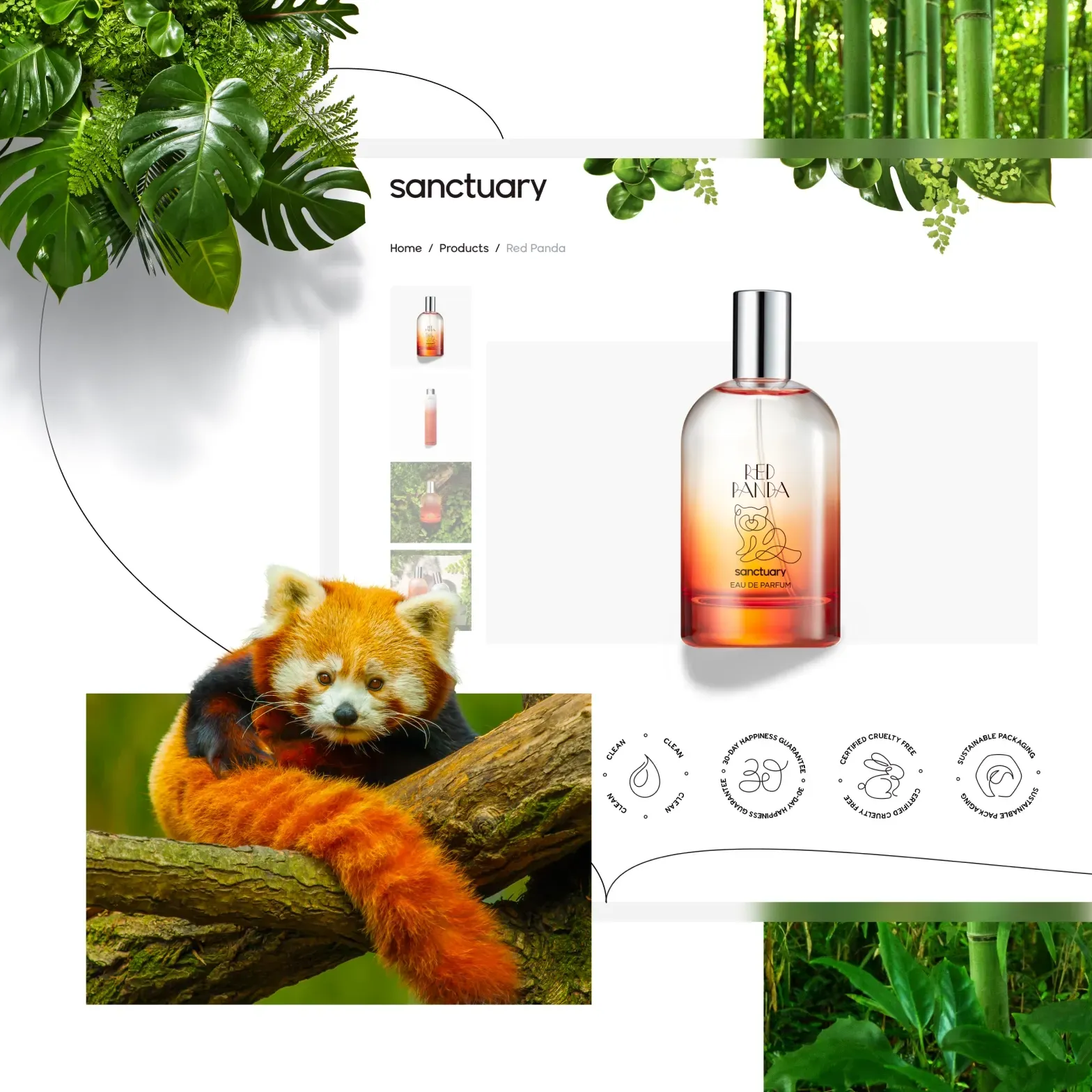 Red panda by sanctuary perfume hot sale